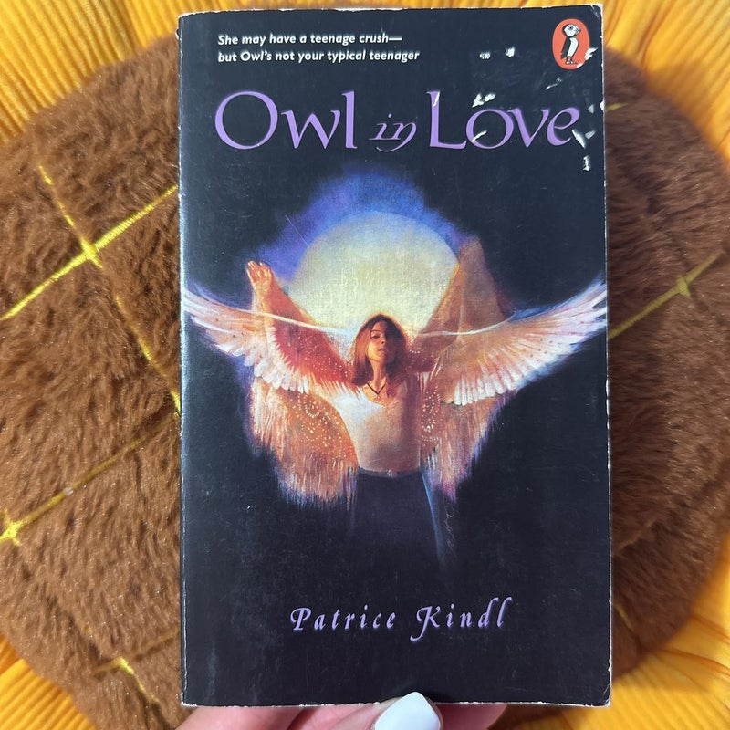 Owl in Love