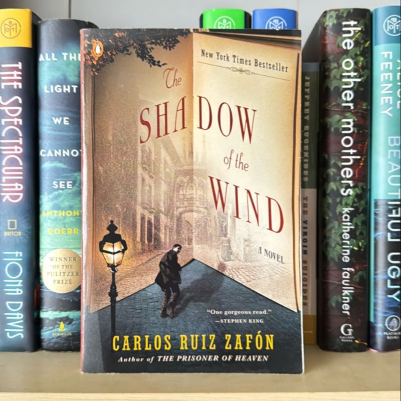 The Shadow of the Wind