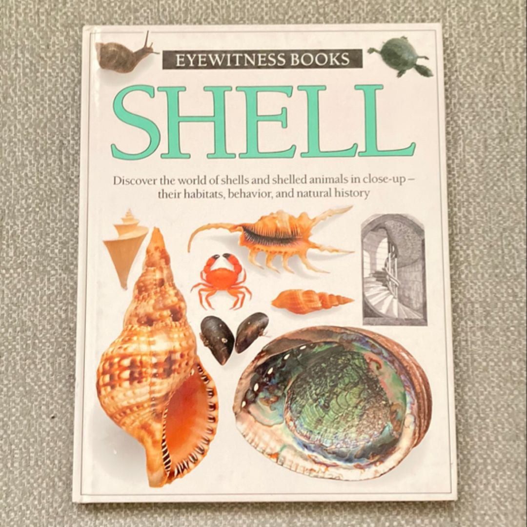 Shell