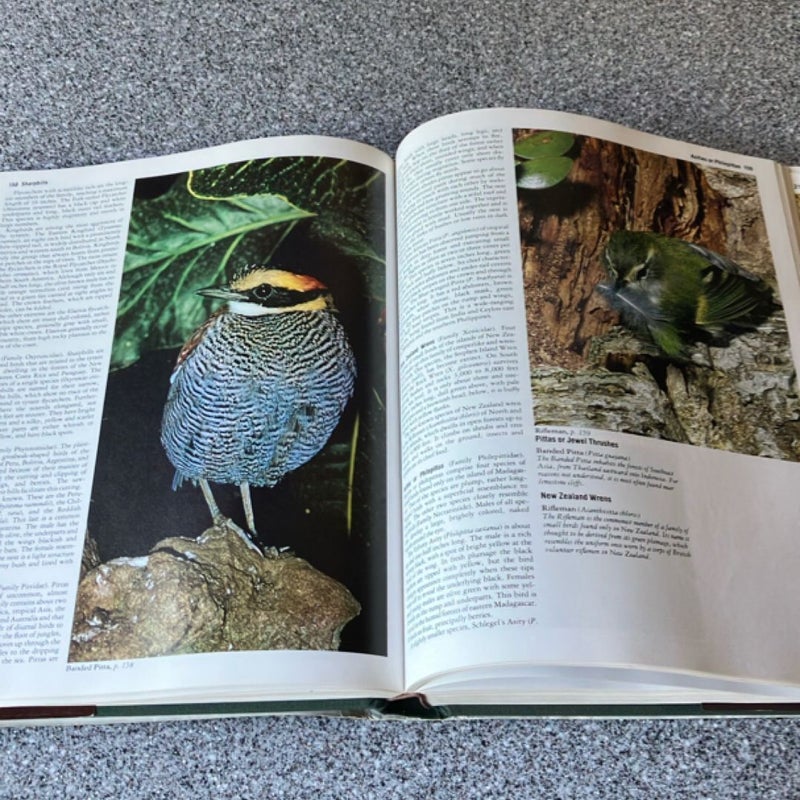 Audubon Society
