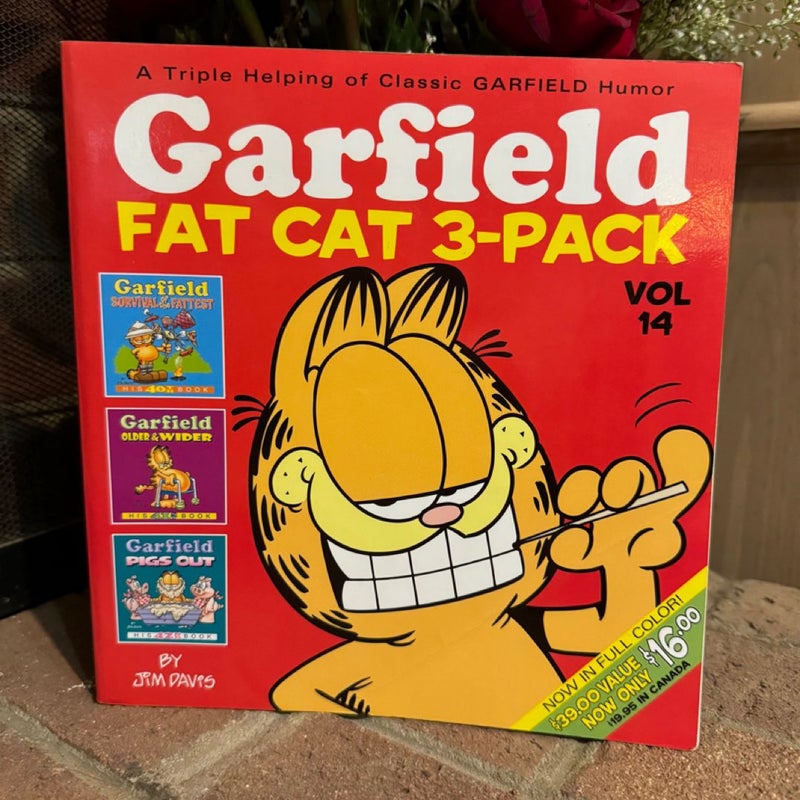 Garfield Fat Cat 3-Pack #14