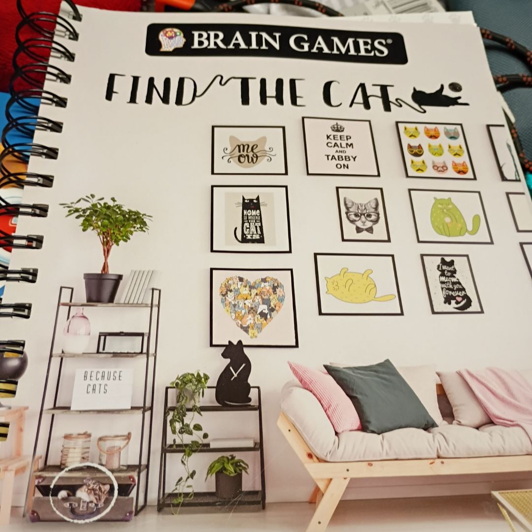 Brain Games - Find the Cat