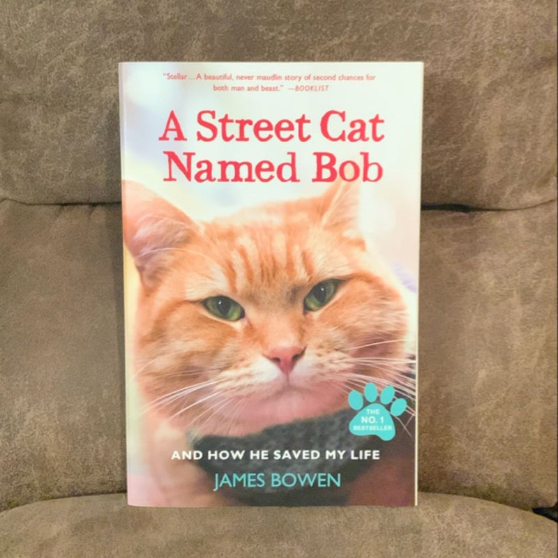 A Street Cat Named Bob