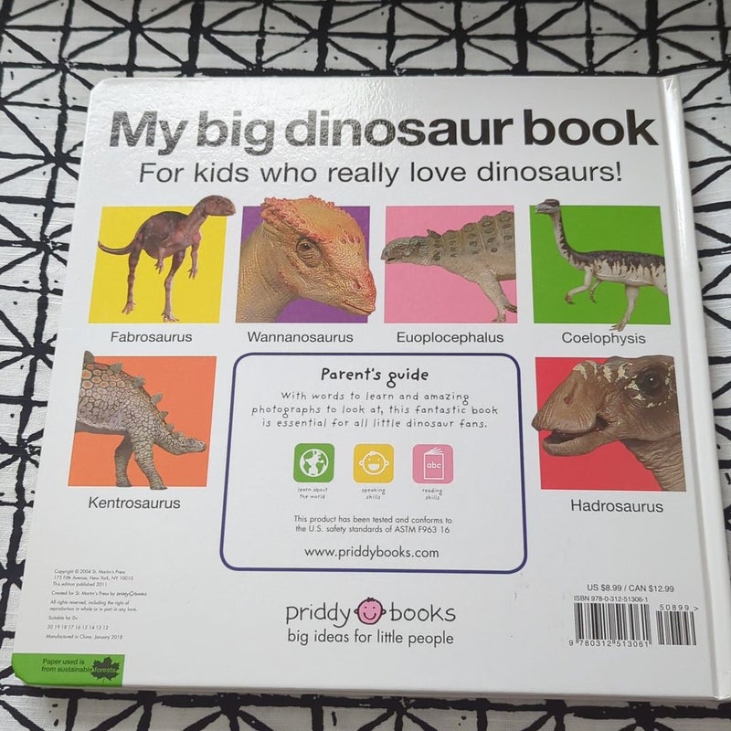 My Big Dinosaur Book