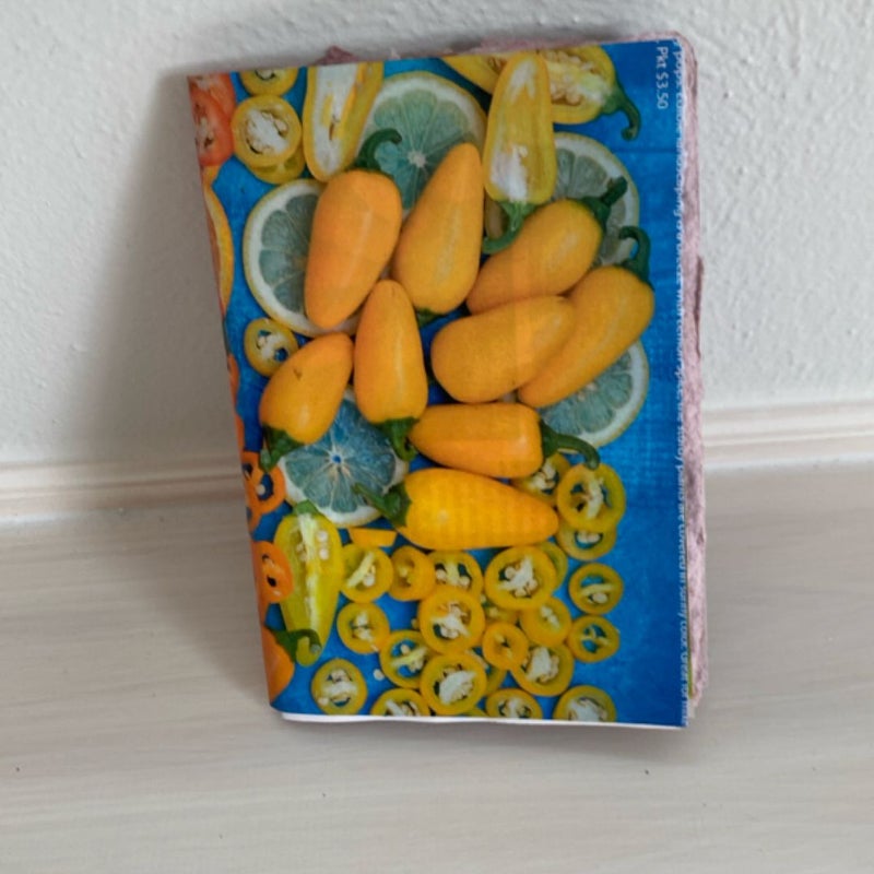 Art Junk Journal