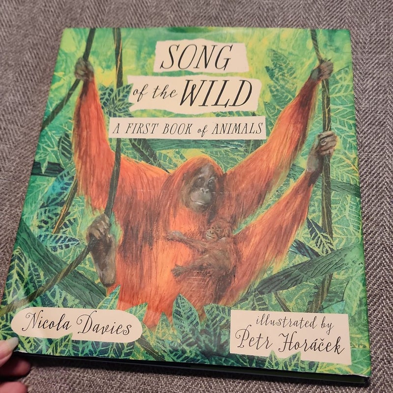 Song of the Wild: a First Book of Animals