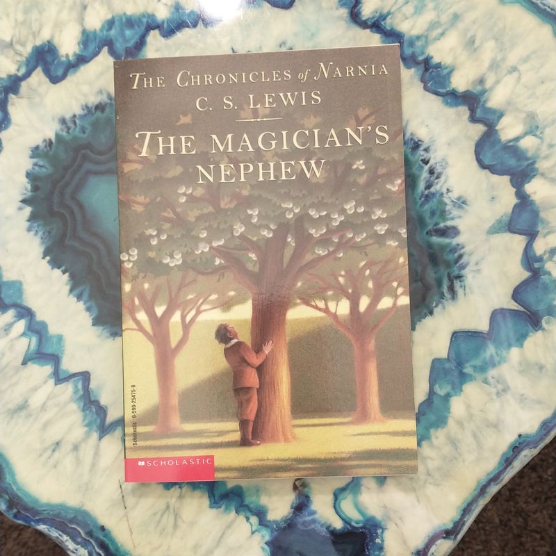 The Chronicles of Narnia series 