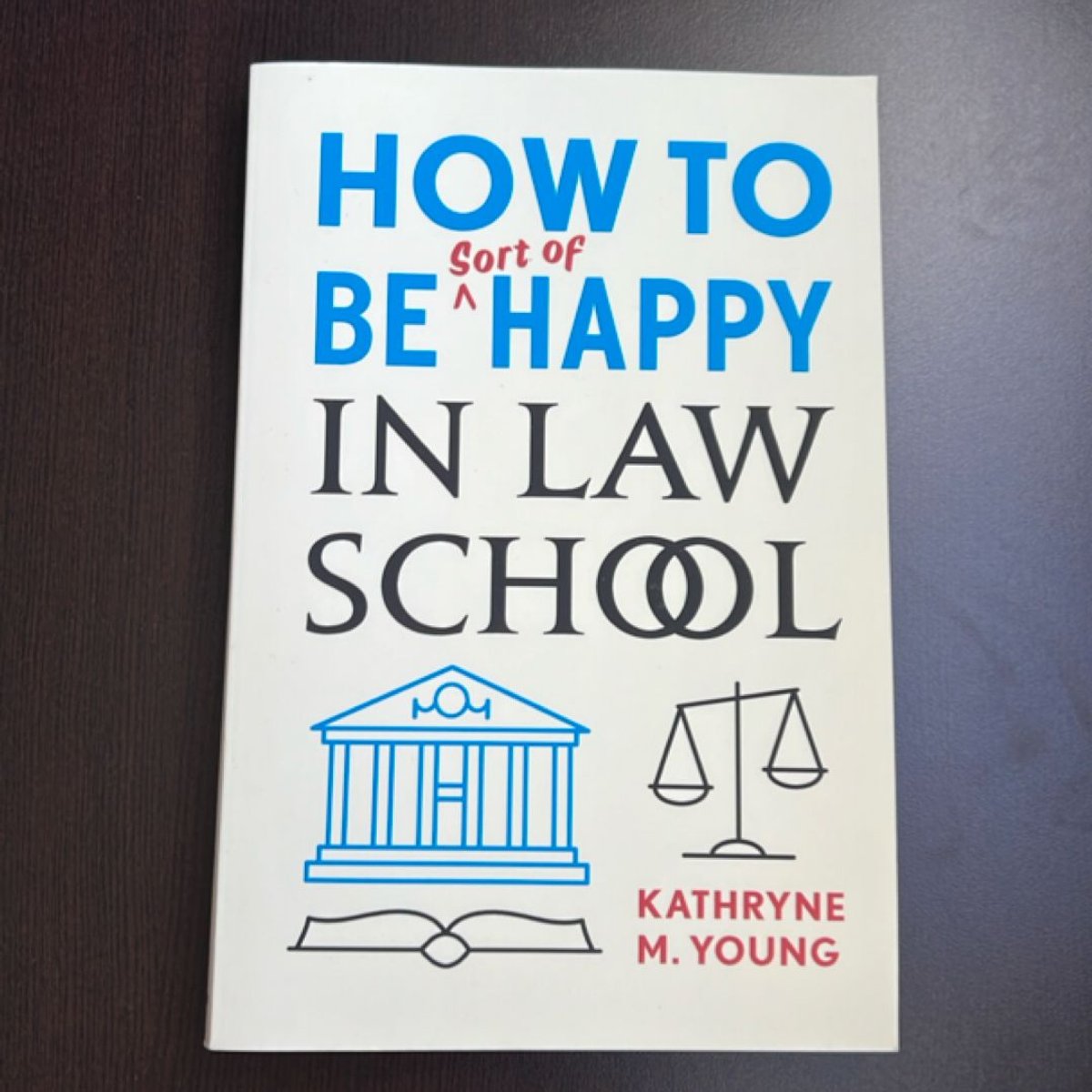 How to Be Sort of Happy in Law School by Kathryne M. Young