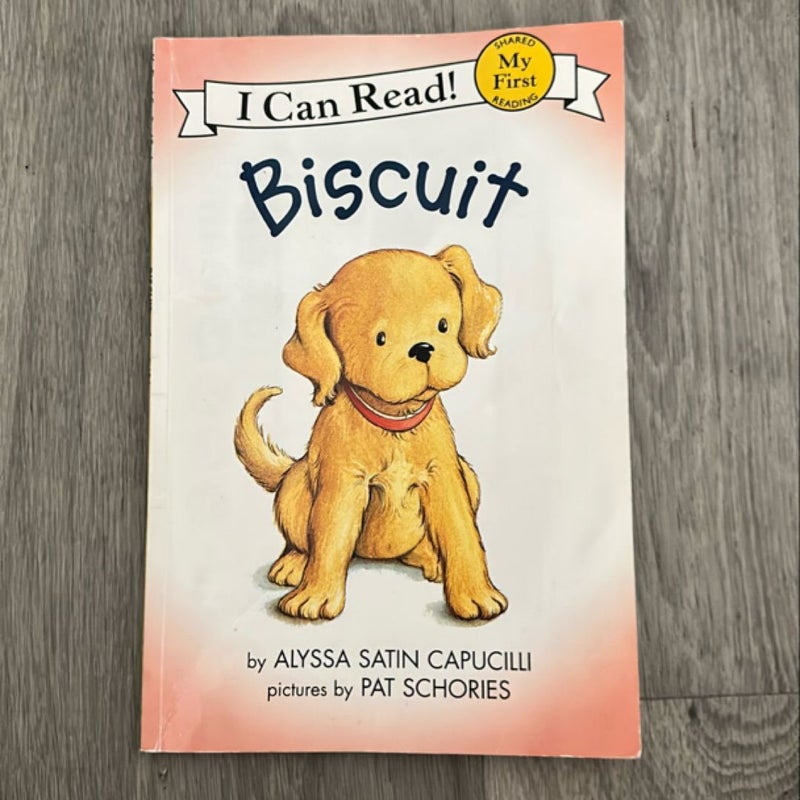 Biscuit