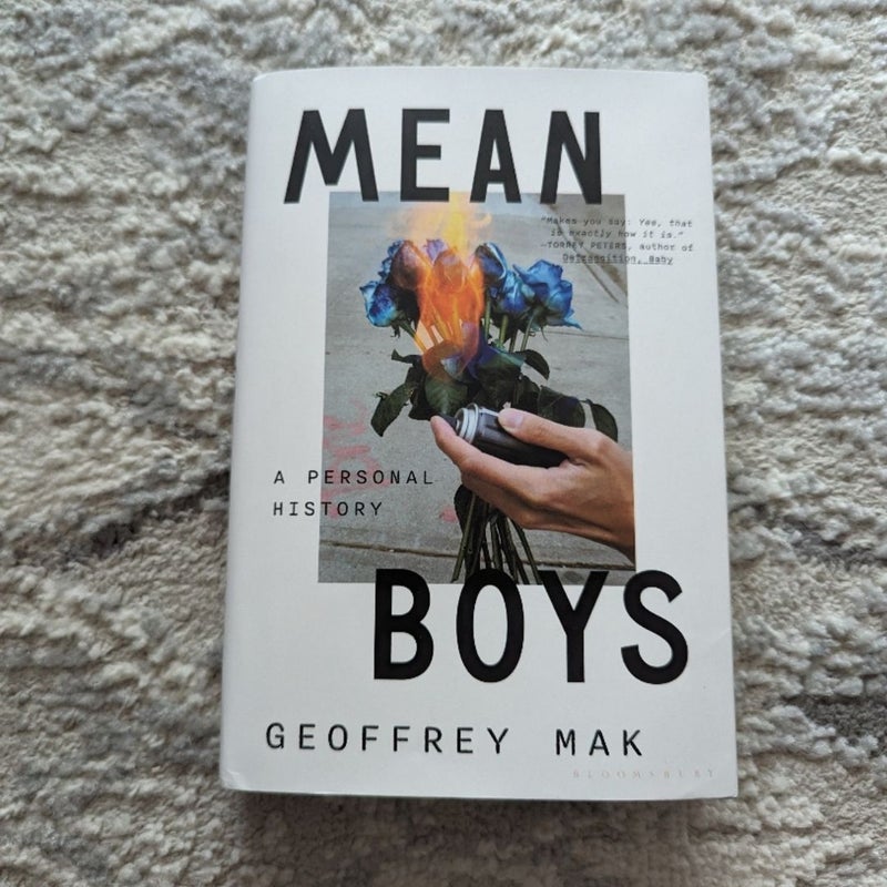 Mean Boys: A Personal History 