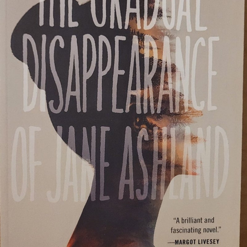 The Gradual Disappearance of Jane Ashland