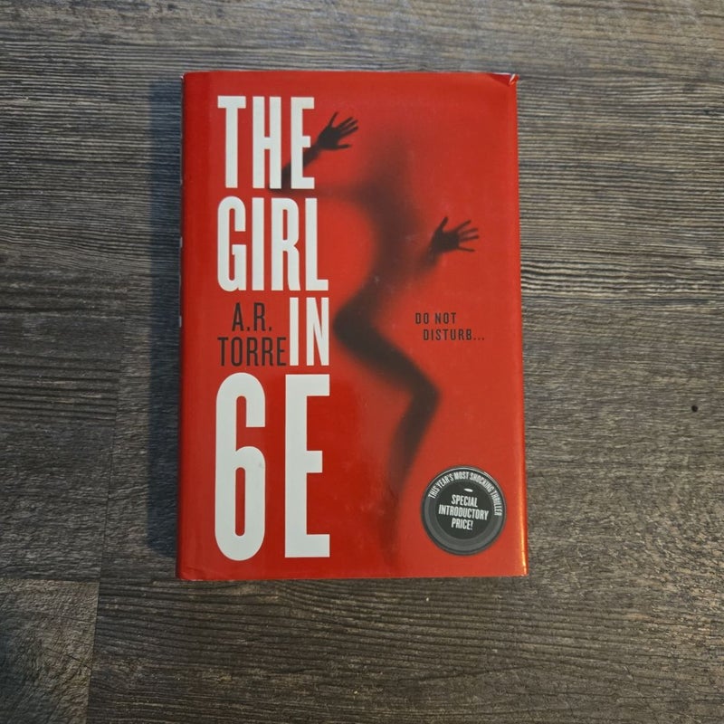 The Girl In 6E