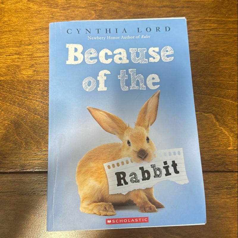 Because of the Rabbit