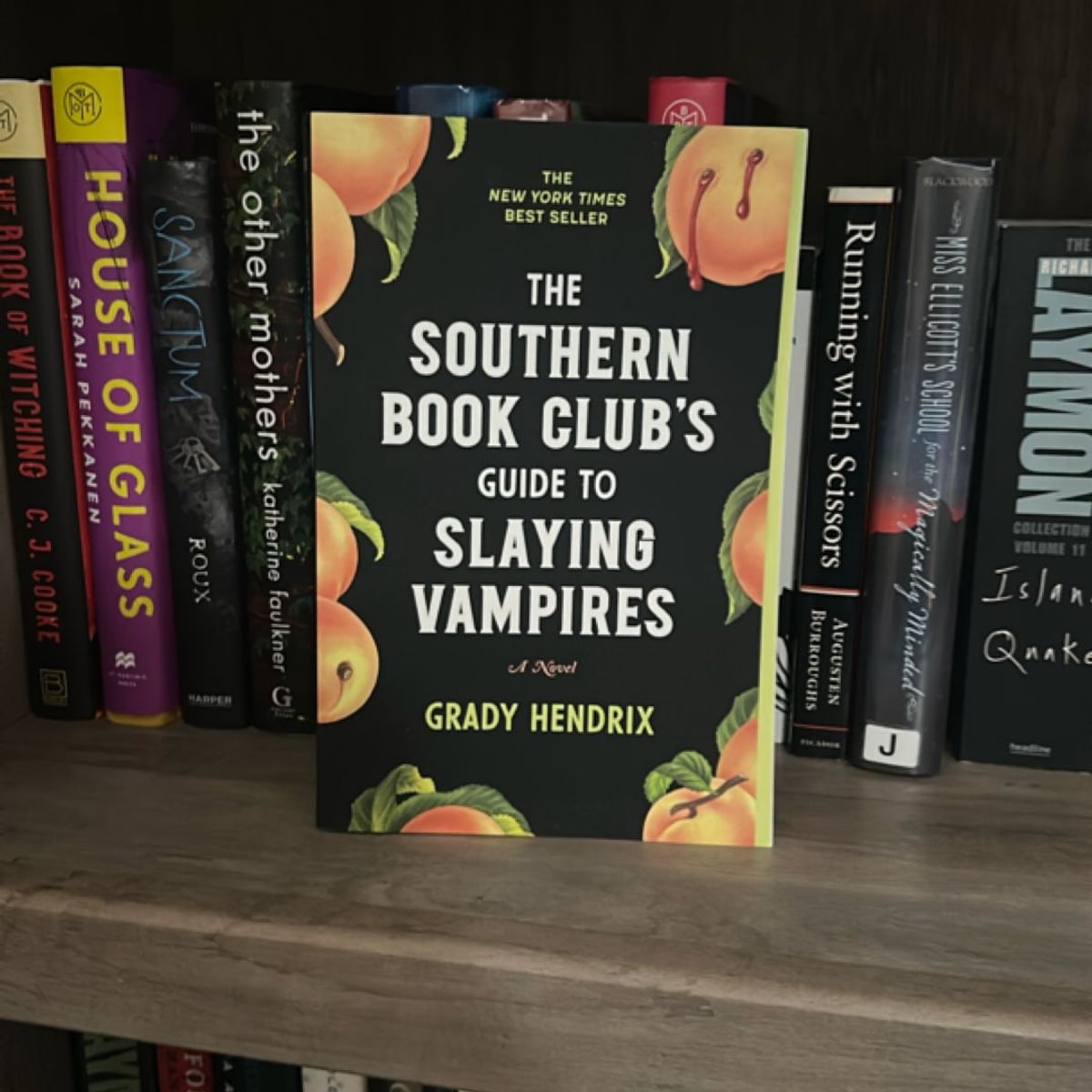 The Southern Book Club's Guide to Slaying Vampires by Grady Hendrix ...