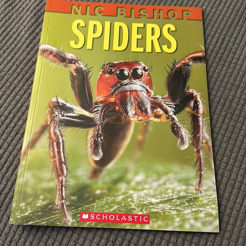 Spiders