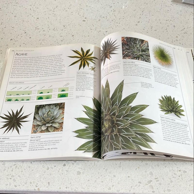 The Complete Book of Cacti and Succulents