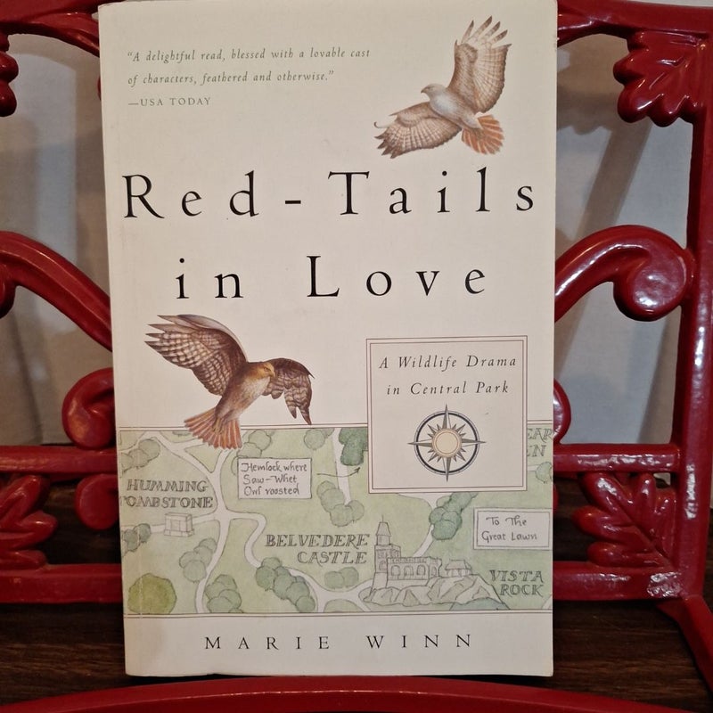 Red-Tails in Love