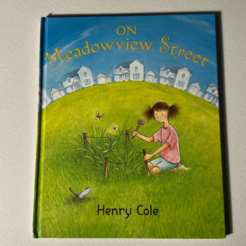 On Meadowview Street