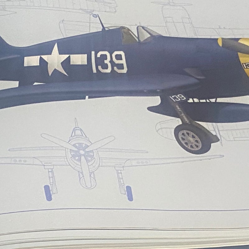   The American Fighter Plane