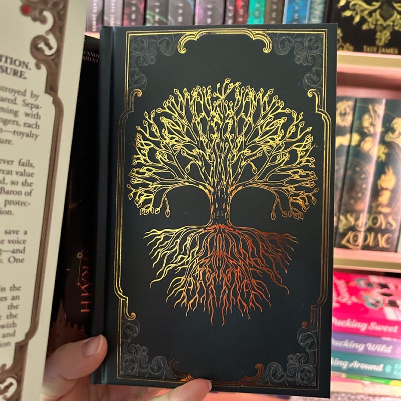 Fall of Ruin and Wrath (Bookish Box Special Edition)
