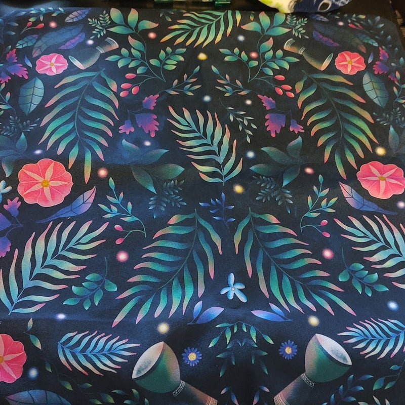 Raybearer pillow case--Fairyloot box March 2022