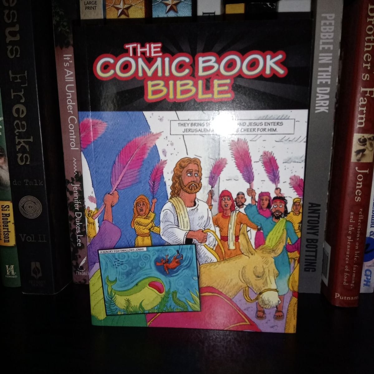 The Comic Book Bible by Robb Suggs