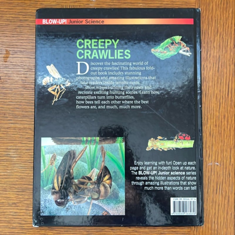 Creepy Crawlies