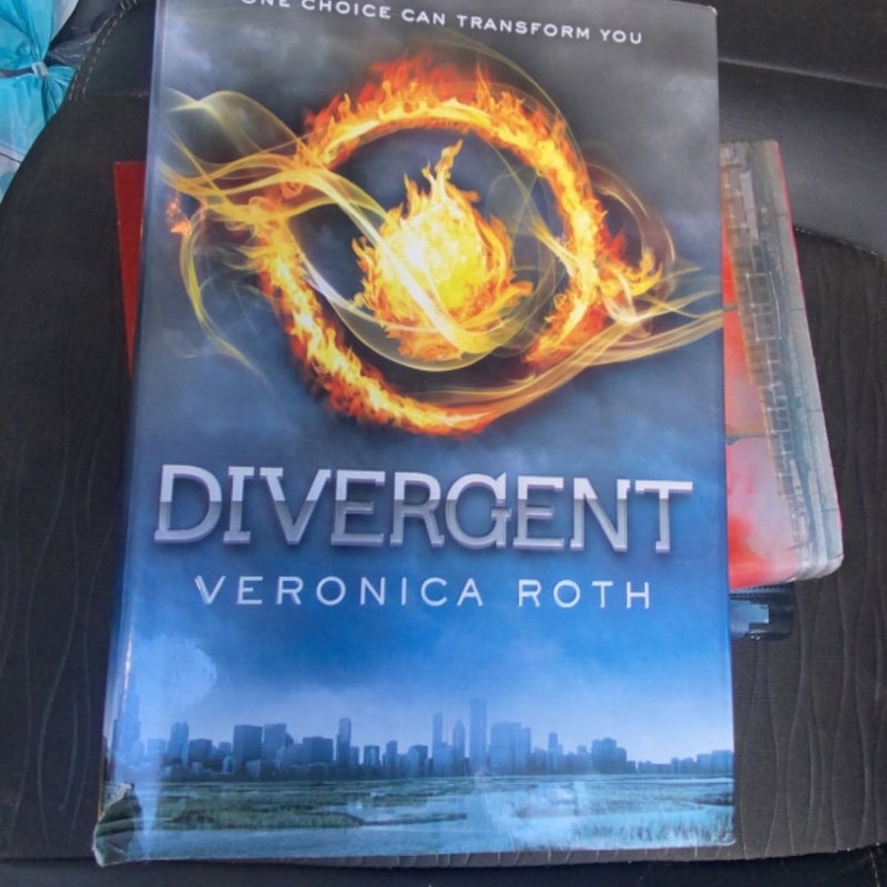 Divergent Series 