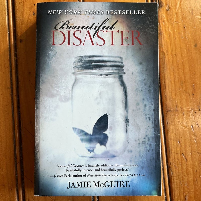 Beautiful Disaster