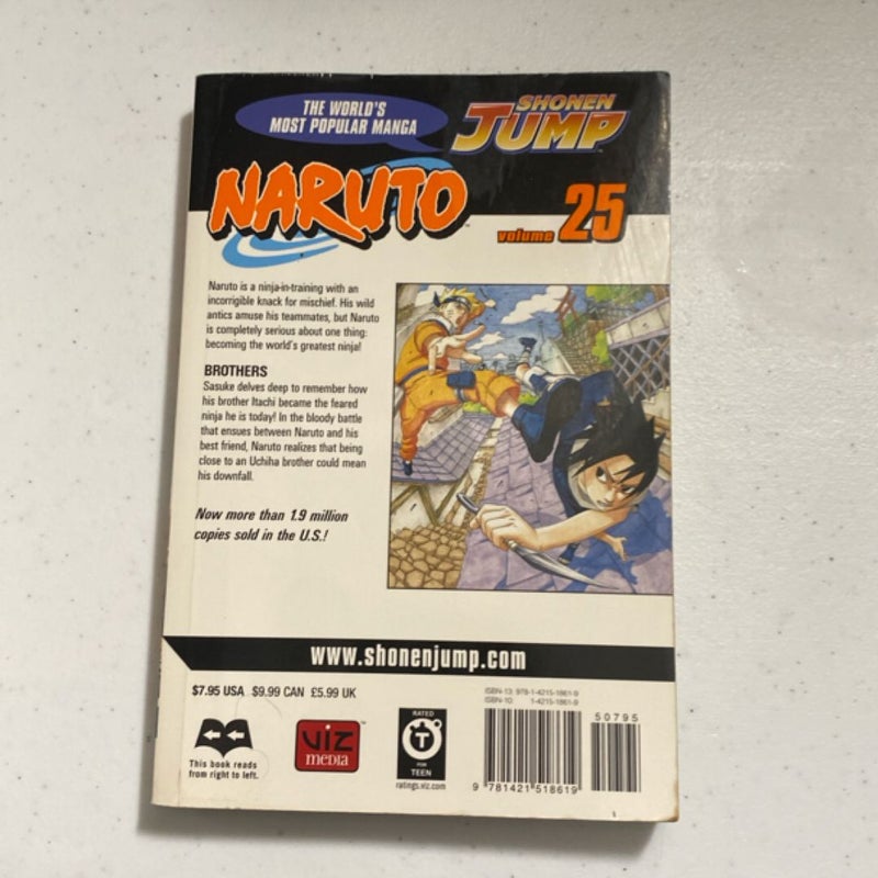 Naruto, Vol. 25