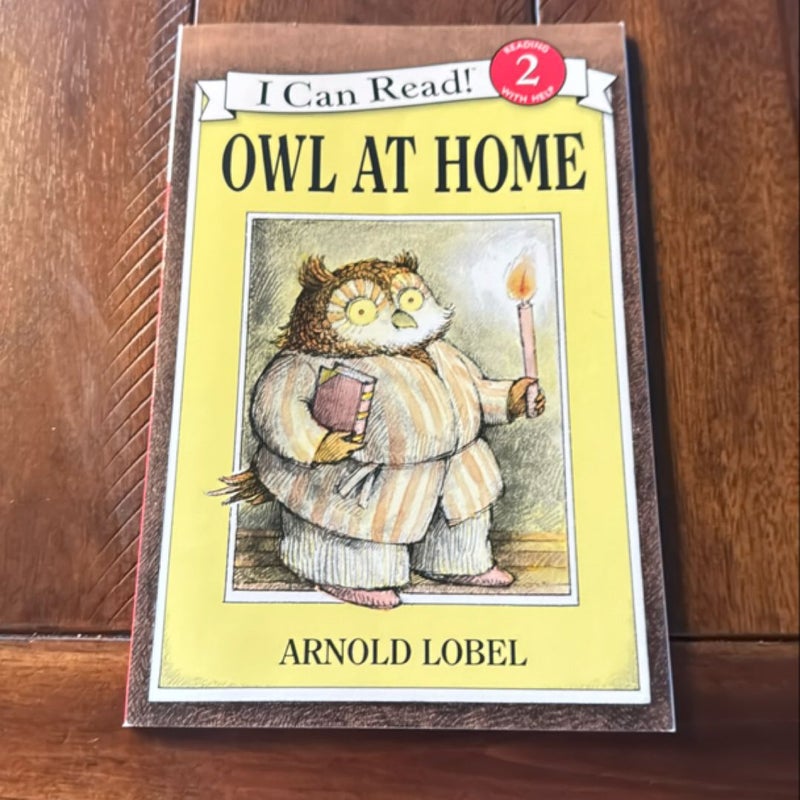 Owl at Home