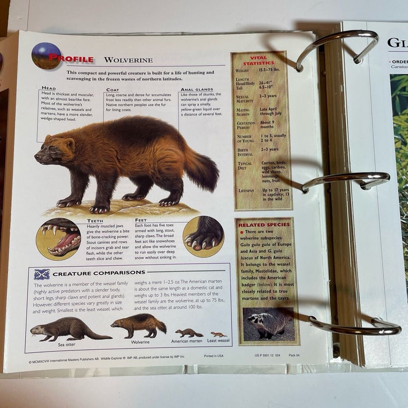 Wildlife Explorer Binder — Groups 1-8 with  100+ Cards & Tabs, Published 1998