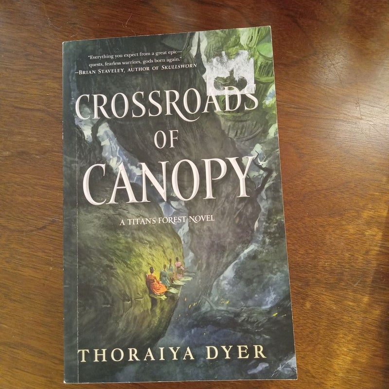 Crossroads of Canopy