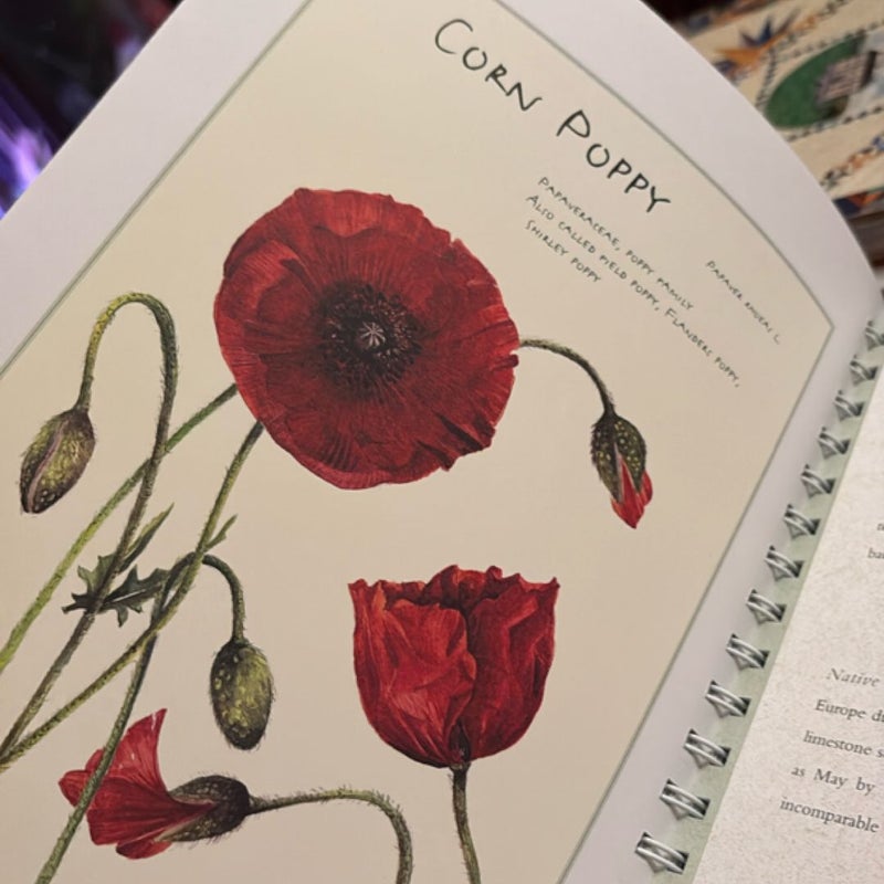 A Notebook of Flowers