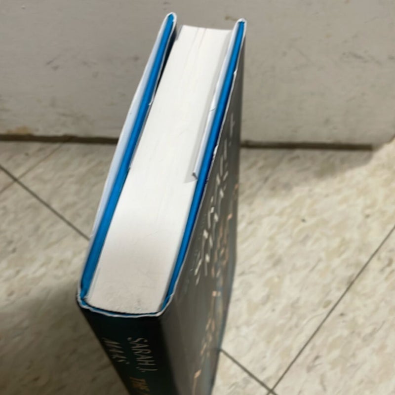 The Assassin's Blade