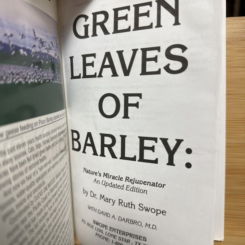 Green Leaves of Barley