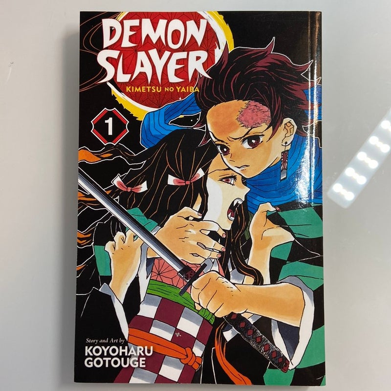 Demon Slayer: Kimetsu No Yaiba 1