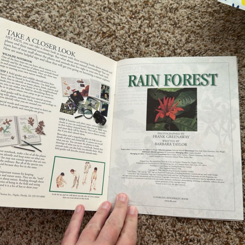 Rain Forest  