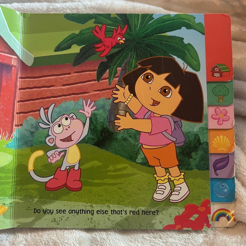 Dora's Color Adventure!