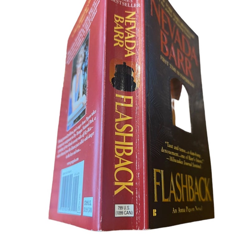 Flashback (Anna Pigeon Mysteries Book 11)