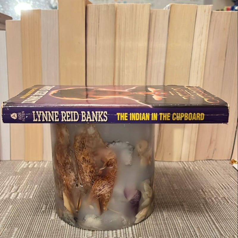 The Indian in the Cupboard
