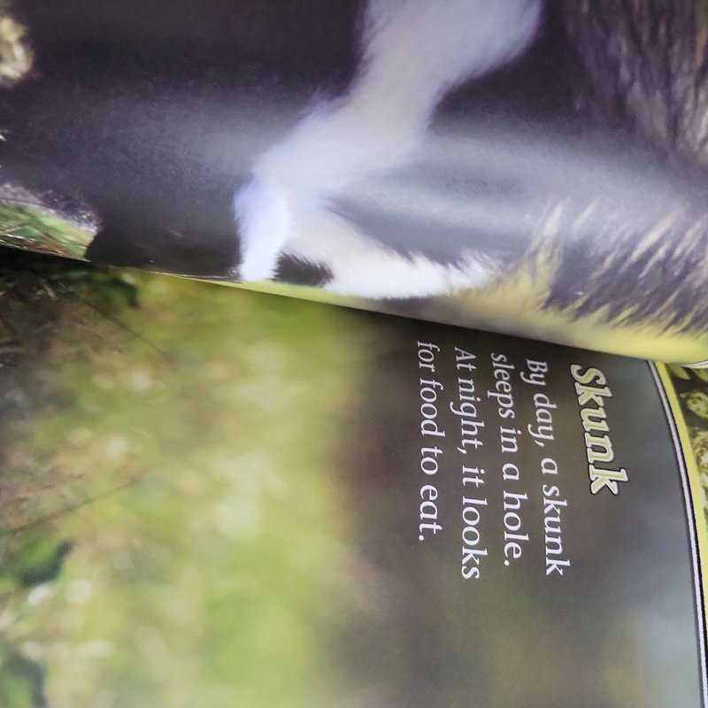 Awesome! Reader, Ages 3 - 6