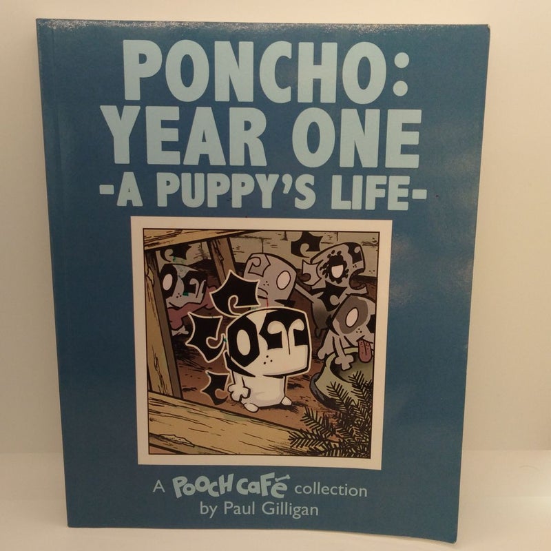 Poncho: Year One