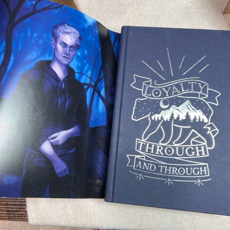 Owlcrate The Luminaries