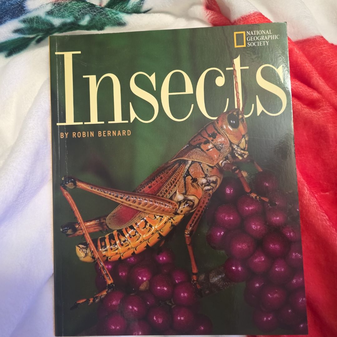 Insects