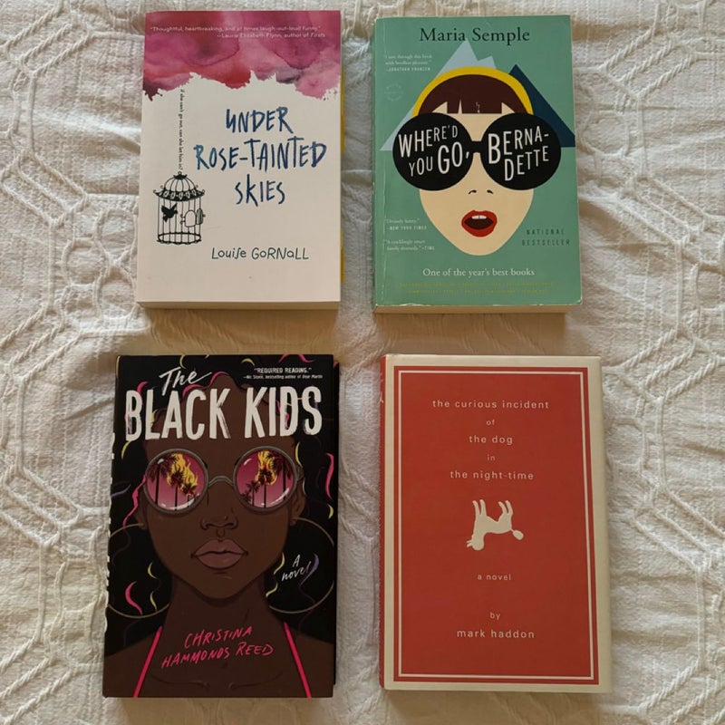 Young Adult Book Bundle