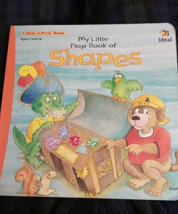 My Little Flap Book of Shapes