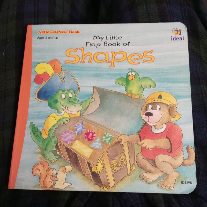 My Little Flap Book of Shapes