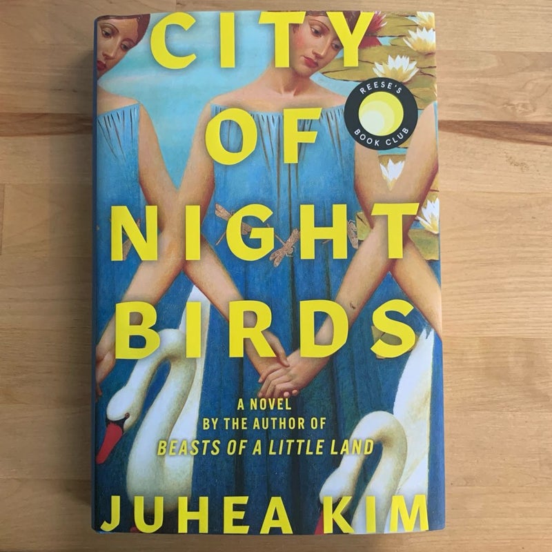 City of Night Birds
