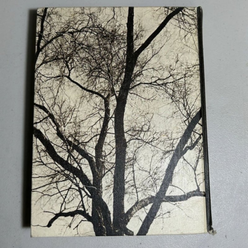 1965 Washington State University Yearbook